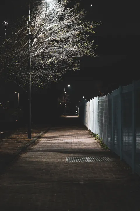Night Street Phone Wallpaper · street · 1440×2160