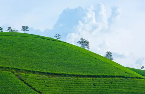 Wallpaper Bukit Hijau 4K · nature · 3840×2508