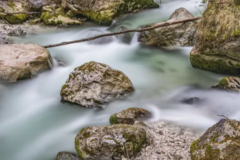 Forest Stream 4K Wallpaper · nature · 3840×2560