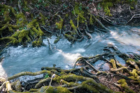 森林溪流 4K桌布 · nature · 3840×2561