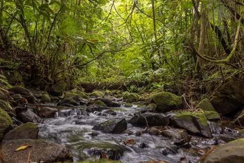 森林溪流 4K桌布 · nature · 3840×2560