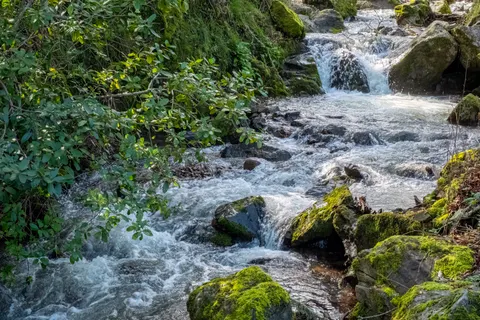 خلفية طبيعة بدقة 4K · nature · 3840×2560