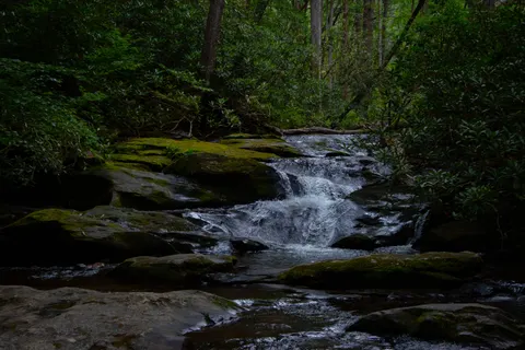 森林溪流 4K桌布 · nature · 3840×2560