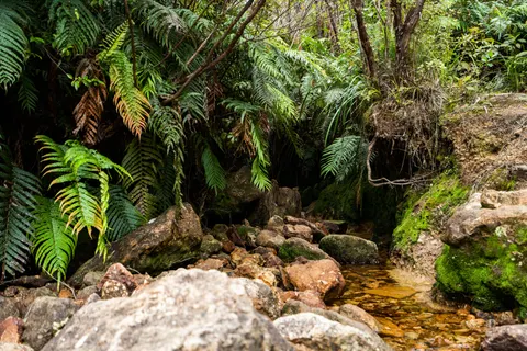 Natur 4K Hintergrundbild · nature · 3840×2560