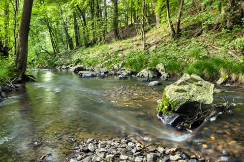 Forest Stream 4K Wallpaper · nature · 3840×2560