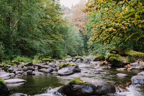 Forest Stream 4K Wallpaper · nature · 3840×2560