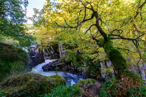 Natur 4K Hintergrundbild · nature · 3840×2555
