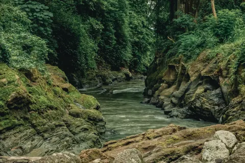 Forest Stream 4K Wallpaper · nature · 3840×2563