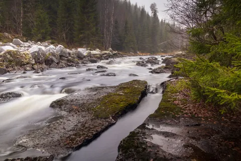 Forest Stream 4K Wallpaper · nature · 3840×2560