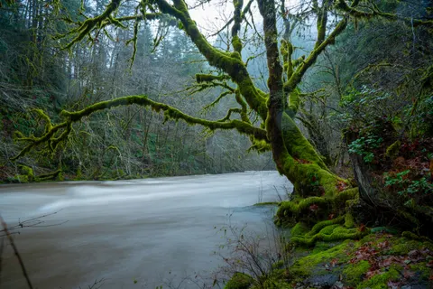 森林溪流 4K桌布 · nature · 3840×2561
