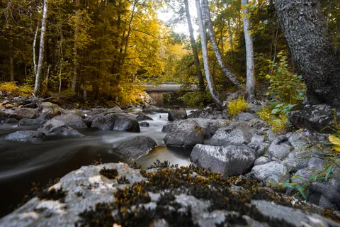 숲속 개울 4K 배경화면 · nature · 3840×2560