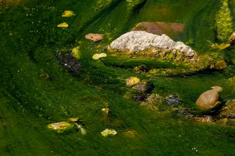 Forest Stream 4K Wallpaper · nature · 3840×2560