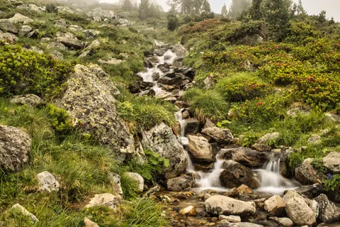 Обои Природа 4K · nature · 3840×2563