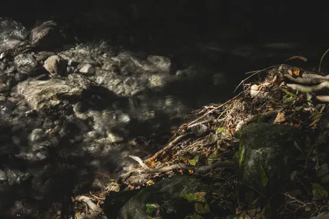 Forest Stream 4K Wallpaper · nature · 3840×2560