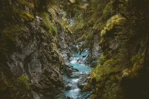 Forest Stream 4K Wallpaper · nature · 3840×2560