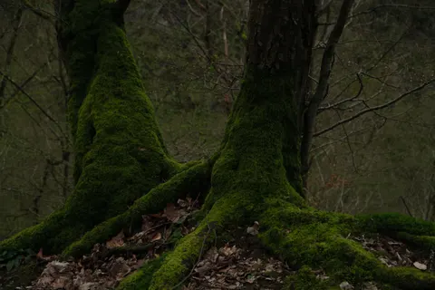 Natur 4K Hintergrundbild · nature · 3840×2560