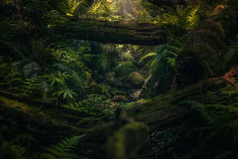 خلفية جدول الغابة بدقة 4K · nature · 3840×2560