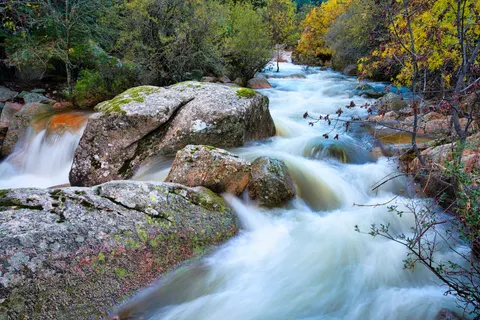 Fond d'écran Ruisseau forestier 4K · nature · 3840×2561