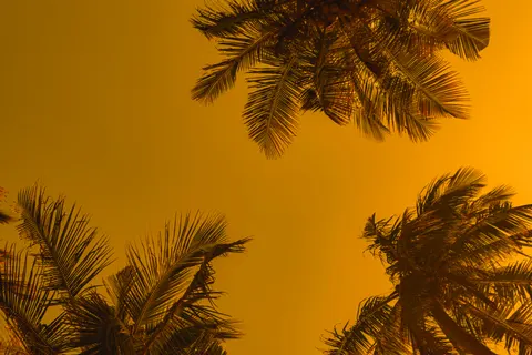 Palm Beach Sunset 4K Wallpaper · nature · 3840×2560