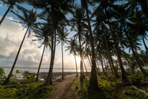 Обои Природа 4K · nature · 3840×2560