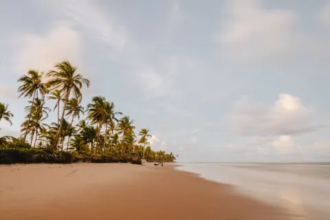 自然 4K壁紙 · nature · 3840×2561
