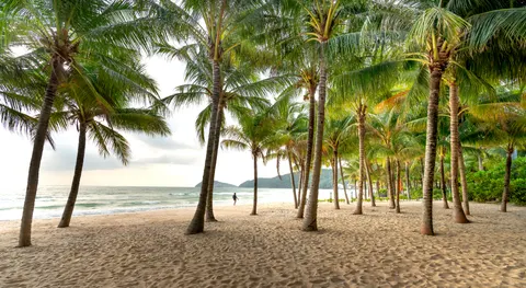 Palm Beach Sunset 4K Wallpaper · nature · 3840×2102