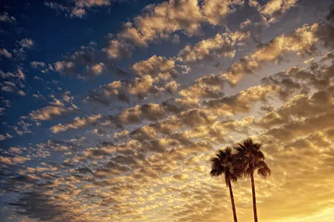 Palm Beach Sunset 4K Wallpaper · nature · 3840×2560