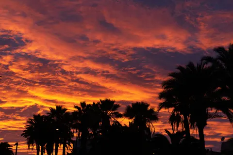 Fondo de pantalla Atardecer en playa de palmeras 4K · nature · 3840×2563