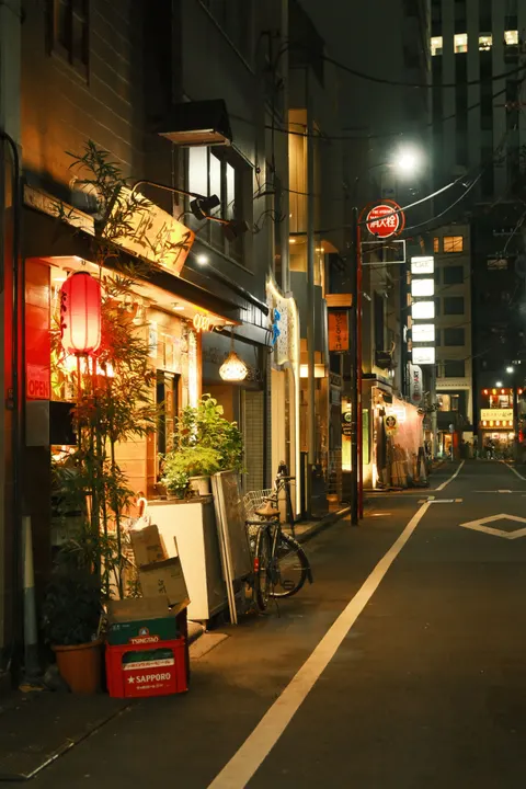 Tokyo Alley Phone Wallpaper · street · 1440×2160