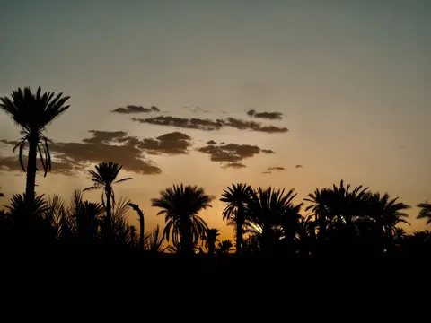 Palm Beach Sunset 4K Wallpaper · nature · 3840×2882