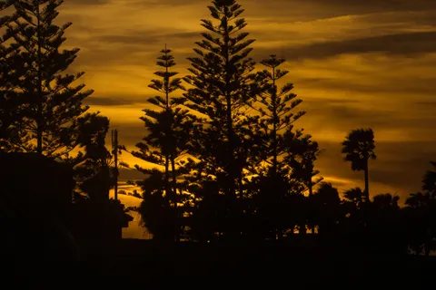 棕櫚海灘日落 4K桌布 · nature · 3840×2560