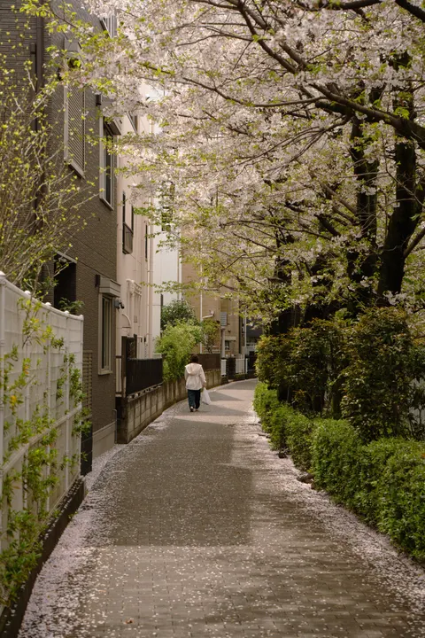 Tokyo Alley Phone Wallpaper · street · 1440×2160