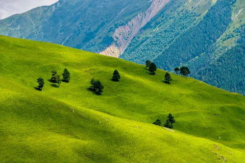 خلفية تلال خضراء بدقة 4K · nature · 3840×2553