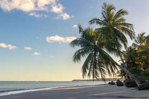 棕櫚海灘日落 4K桌布 · nature · 3840×2560