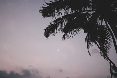 خلفية طبيعة بدقة 4K · nature · 3840×2560