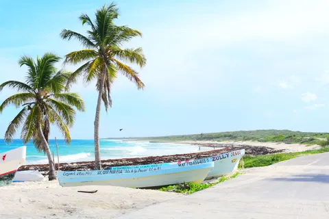 Fondo de pantalla Atardecer en playa de palmeras 4K · nature · 3840×2560