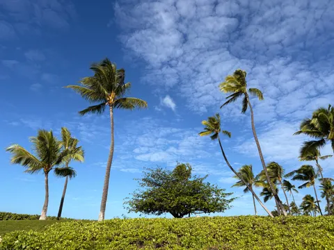 Fond d'écran Nature 4K · nature · 3840×2880