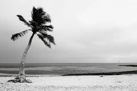棕櫚海灘日落 4K桌布 · nature · 3840×2560