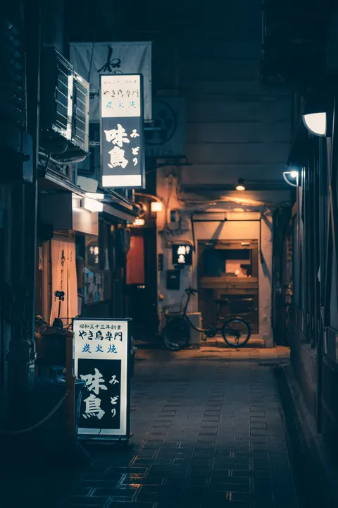 Tokyo Alley Phone Wallpaper · street · 1440×2160