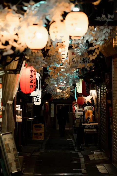 Tokyo Alley Phone Wallpaper · street · 1440×2160