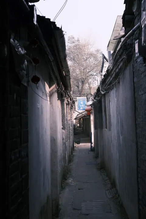 Tokyo Alley Phone Wallpaper · street · 1440×2160