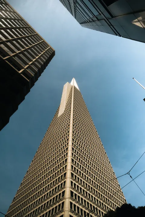 Looking Up Phone Wallpaper · street · 1440×2160