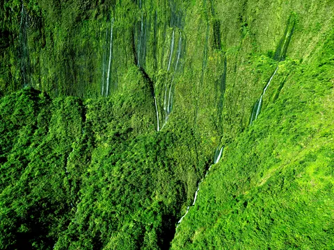 Rainforest Waterfall 4K Wallpaper · nature · 3840×2880