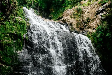 Rainforest Waterfall 4K Wallpaper · nature · 3840×2560