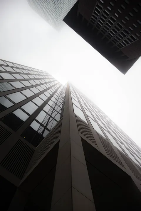 Looking Up Phone Wallpaper · street · 1440×2160