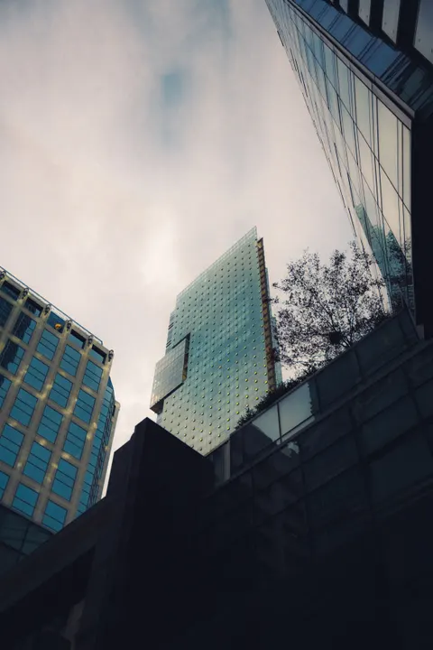 Looking Up Phone Wallpaper · street · 1440×2160