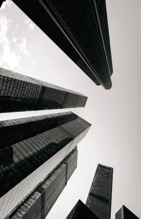 Looking Up Phone Wallpaper · street · 1440×2239