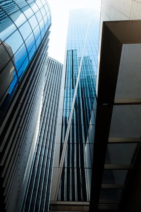 Looking Up Phone Wallpaper · street · 1440×2160