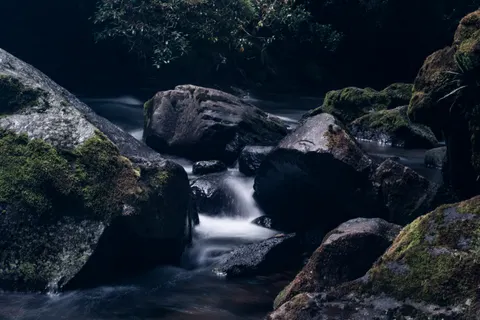 Rainforest Waterfall 4K Wallpaper · nature · 3840×2560