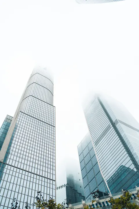 Looking Up Phone Wallpaper · street · 1440×2160
